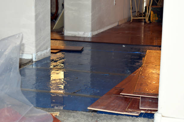 Professional Basement Flood Cleanup technician working in Franklinville, NJ